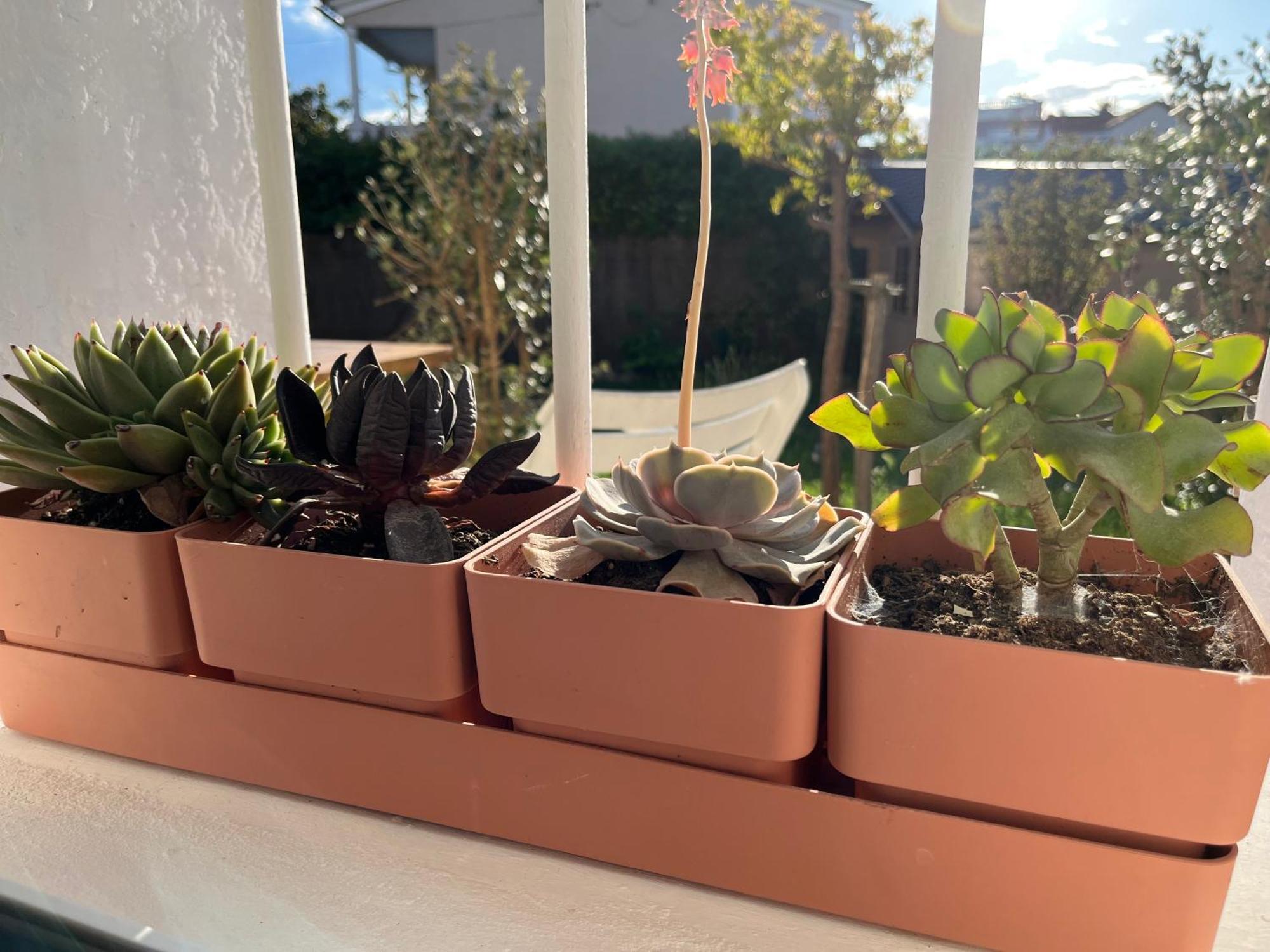Appartement Deux Pieces Donnant Sur Un Jardin Antibes Exterior foto